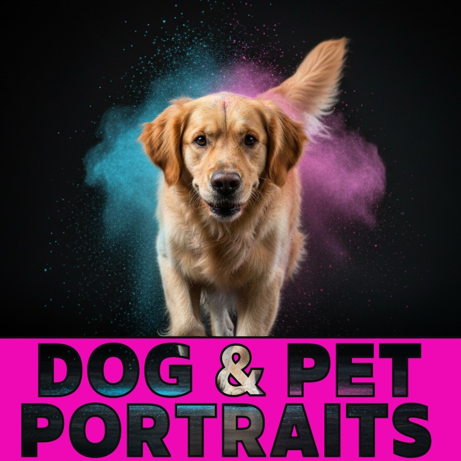 Dog portrait with colourful Holi powder