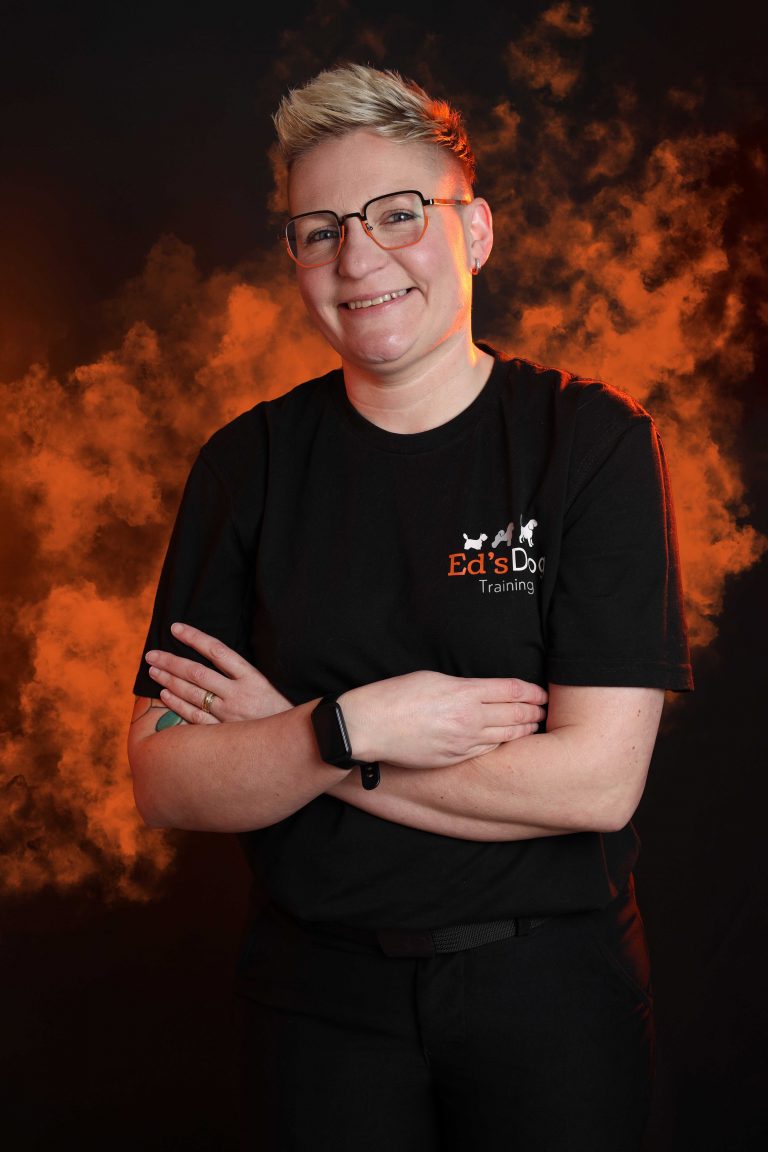 branding photography packages